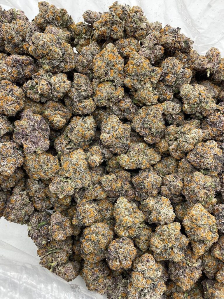 Animal Plushers - Image 3