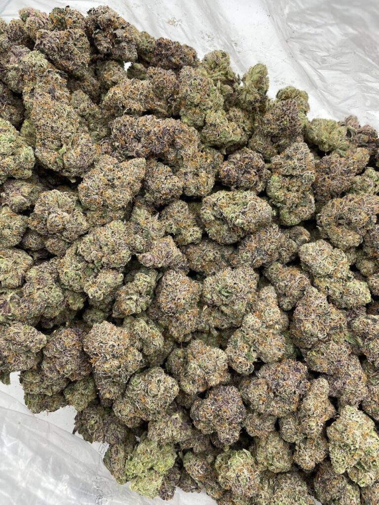 Baby Bottle Popz - Image 3