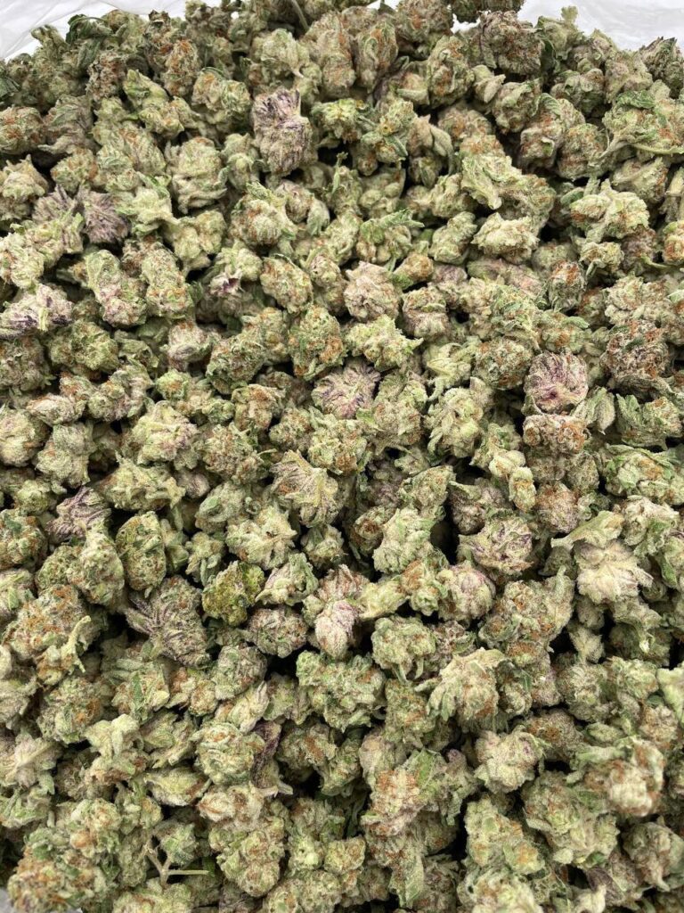 Cherry zourz smalls - Image 2